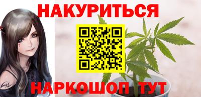 дмт Аргун