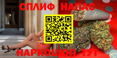 дмт Аргун