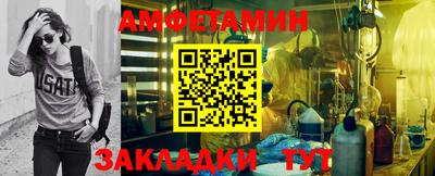 дмт Аргун