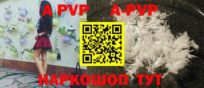 дмт Аргун