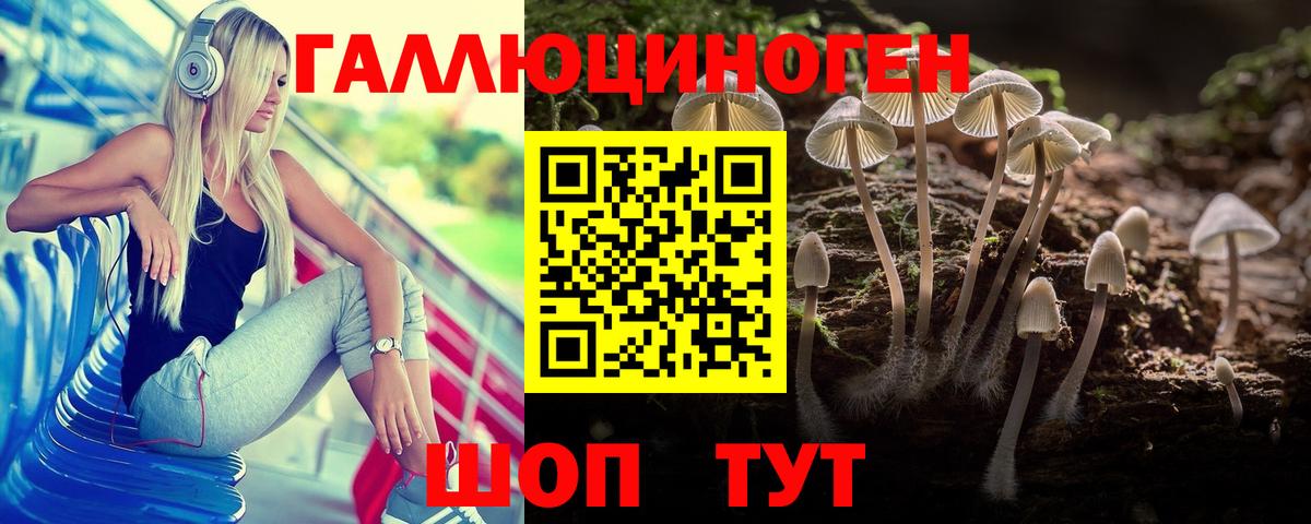 Псилоцибиновые грибы Cubensis  Галлюциногенные грибы MAGIC MUSHROOMS  где найти наркотики  Апшеронск  Вход с VPN 